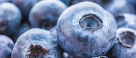 Global blueberry e-commerce: stable prices, premium tier down – week 22/2025-image