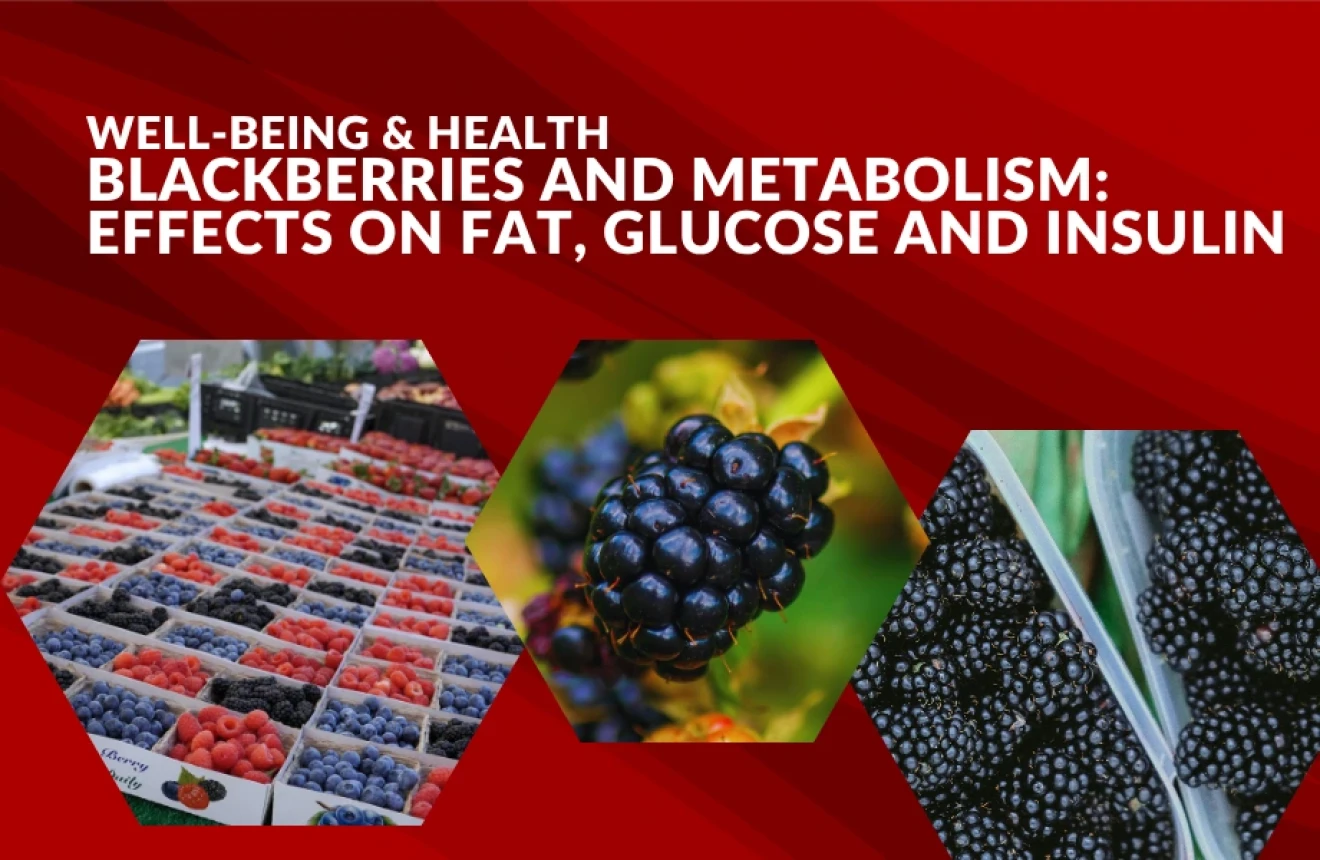 Blackberries and metabolism: what really happens to fat, blood sugar and insulin sensitivity-image