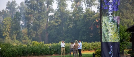 Fall Creek Blueberries: a preview of the FC11-164 variety for mechanical harvesting and Sekoya Nova-image