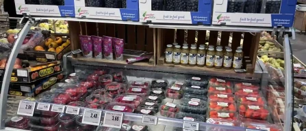 Retail stores in Florence, blueberry prices down, blackberry and raspberry prices up-image