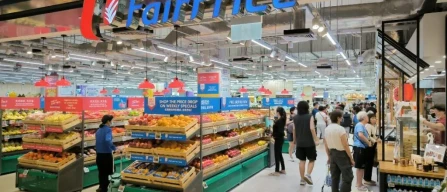 Blueberry prices steady in week 50/2025 with variability across premium and standard-image