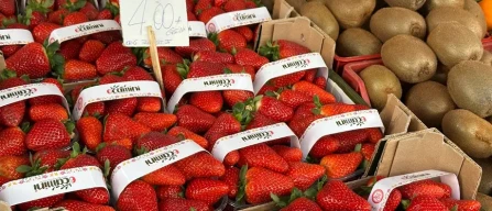 Cresce la presenza dei lamponi italiani nei mercati ortofrutticoli-image