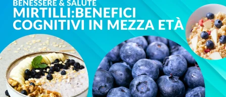Blueberries and brain health in midlife-image