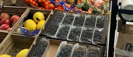 Listini al ribasso per i piccoli frutti in Italia nella settimana 48/2027-image