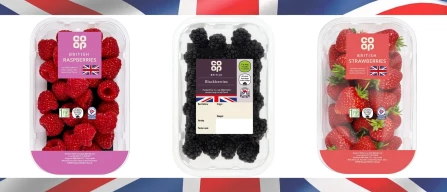 British Berry Growers incorona Co-op come re dei berries tra i supermercati britannici-image