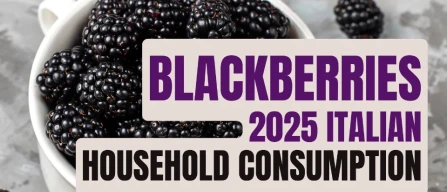 Blackberries in Italy 2025: buyer numbers and value are rising, but purchasing intensity is declining-image