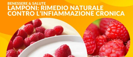 Lamponi e intestino: il rimedio naturale contro infiammazione cronica e stress ossidativo-image