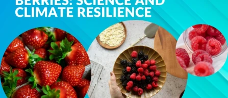 Berries: science is making rapid progress in the areas of climate resilience and wellbeing-image