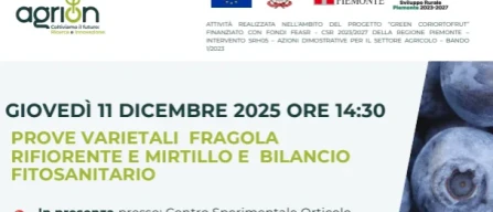 Blueberry and everbearing strawberry varietal trials by Agrion-image