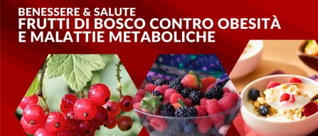Frutti di bosco contro obesità e malattie metaboliche: benefici scientifici e strategie nutrizionali-image