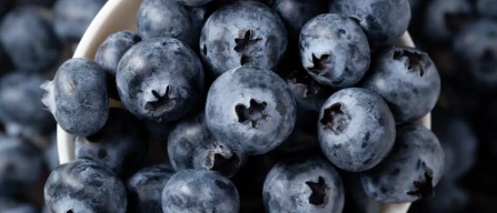Blueberry prices down 1.5% in Week 41/2025: premium segment surges (+6.92%) while standard category falls-image