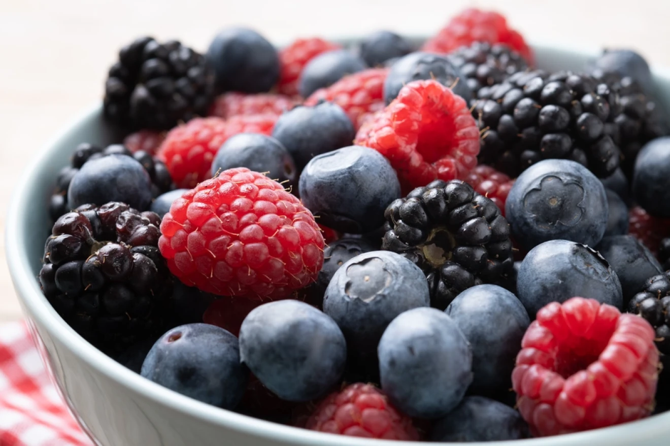 The berry industry keeps growing in Mexico-image