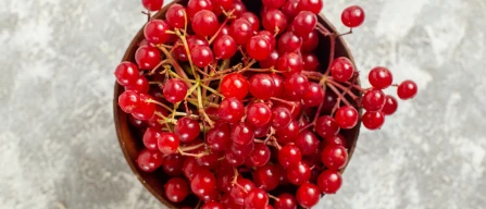 Red currant price +15% in Italian online retail stores – Week 12/2026-image