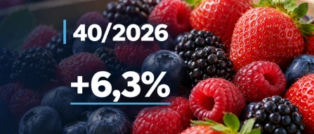 Berry prices in Italy: e-commerce index rises 2.4% in week 40/2026, with blackberries leading-image
