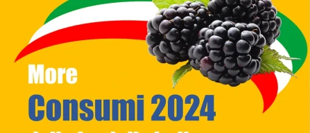 Raddoppia la spesa per le more delle famiglie italiane tra 2022 e 2024-image