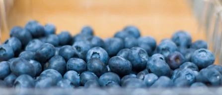 Global price index for standard blueberries rises by 5% in week 09/2024-image