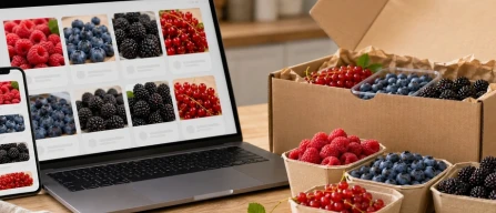 Italy’s online berry prices rise 4.5% in week 30 of 2026, led by raspberries and blueberries-image