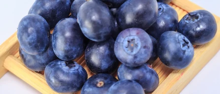 Ukraine: blueberry growers unite for export-image