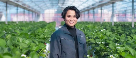 Premium strawberries: Culta tests its AI-assisted model beyond Asia-image