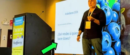 Il mirtillo entra nell’era del timing: la qualità non basta più-image