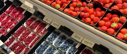 Stanziati 1.2 milioni di € per promuovere i consumi di piccoli frutti in Europa-image