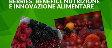 Frutti di bosco, salute e innovazione: perché sono strategici per l’alimentazione del futuro-image