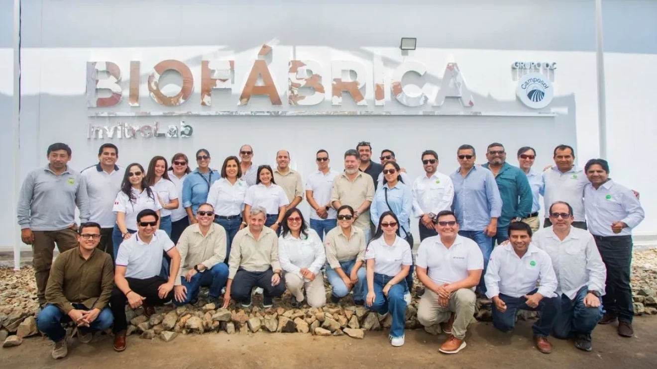 Camposol opens InvitroLab in Peru: biotech and genetics to boost the future of the blueberry industry-image