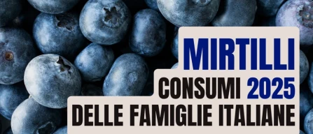 Mirtilli: consumo procapite a 340g e spesa delle famiglie a € 27-image