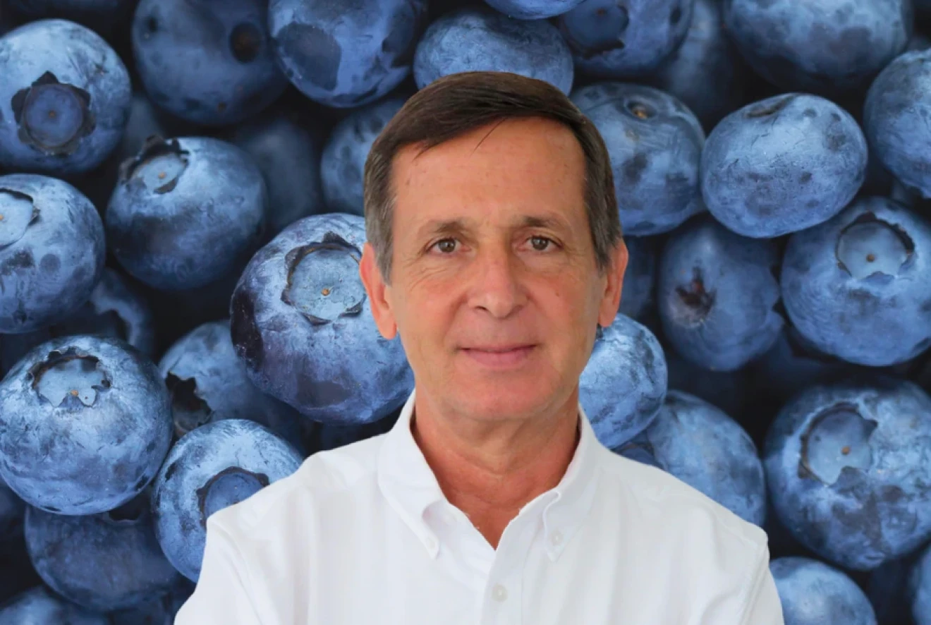 Mario Steta (IBO) at Macfrut 2026 Berry Area: key factors to develop the blueberry business-image