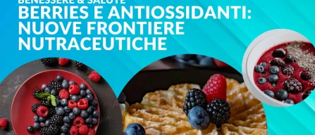 Frutti di bosco e antiossidanti: nuove frontiere nutraceutiche-image