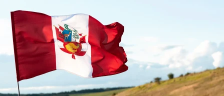 Peru blueberry season 2025 starts: growth and exports-image