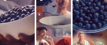Mirtilli protagonisti con la campagna USA “Tastiest Snack Alive”: risultati oltre le aspettative-image