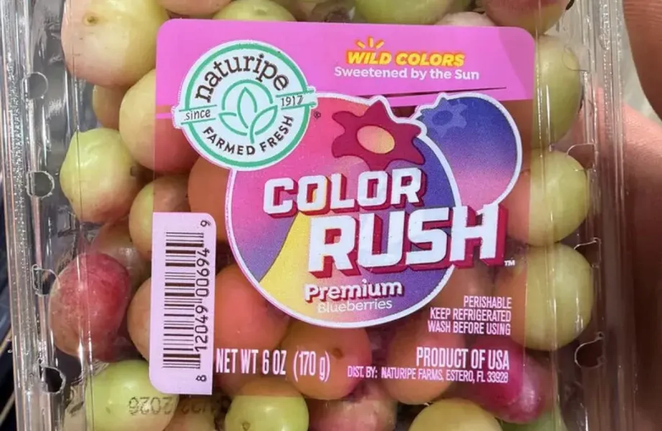 Color Rush: Naturipe brings pink blueberries to the US premium retail market-image