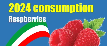 Raspberries, the Italian market in 2024 grows only driven by prices-image