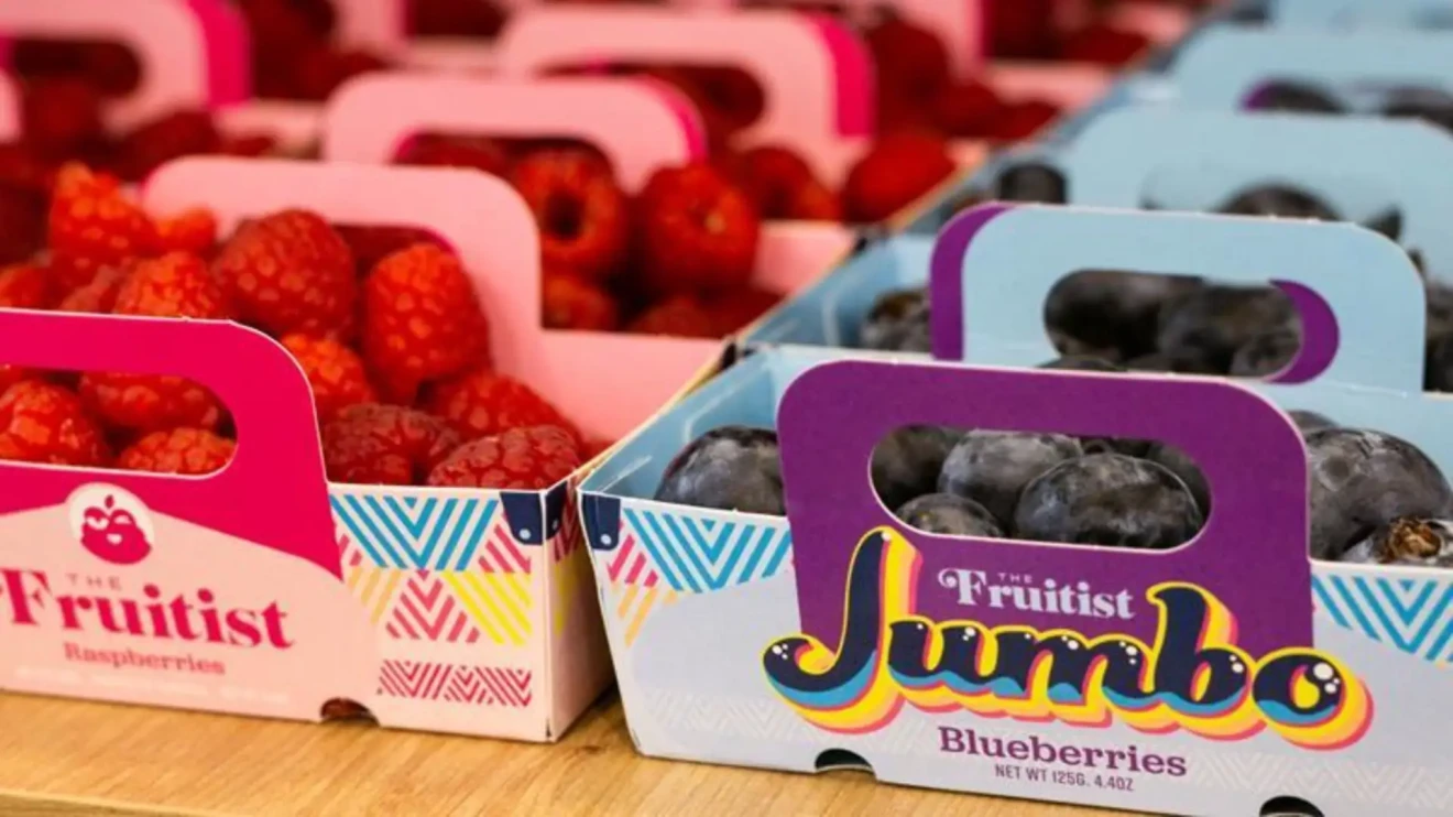 Da Agrovision a Fruitist: nuova identità per conquistare il mercato mondiale dei berries-image