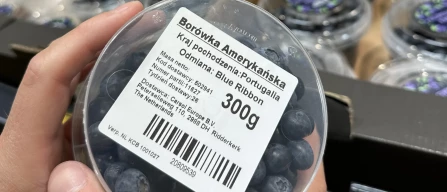 In Poland, blueberry imports are about to exceed exports-image