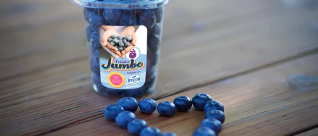 Livie™ blueberries will be the next snack and out-of-home a great opportunity-image