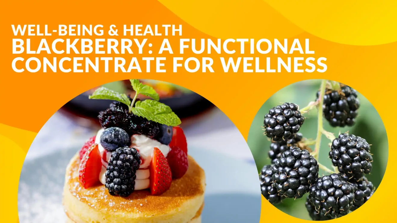 Blackberry: a functional concentrate for wellness with antioxidants and vitamins -image