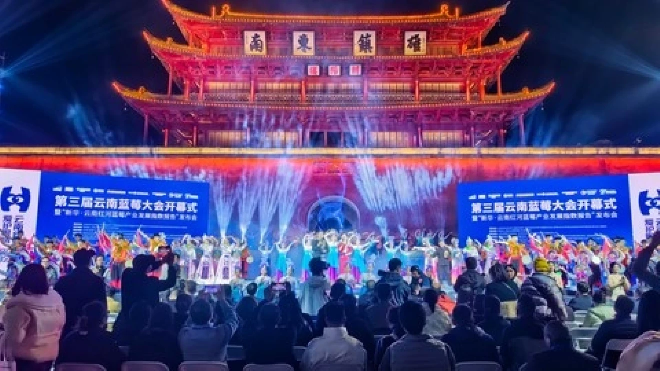 Mirtilli in Cina: Honghe e Yunnan guidano la crescita di un mercato globale da 32 miliardi-image