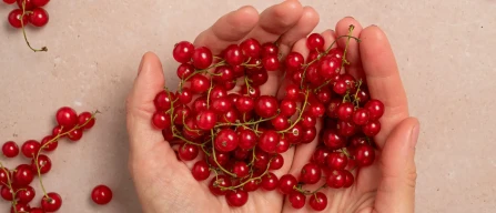 Prezzi e-commerce Italia settimana 33: ribes -2,8%-image