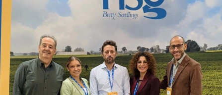 NSG presents Elyson® at Fruit Attraction: from research to the strawberry market-image
