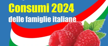 Lamponi, il mercato italiano nel 2024 cresce solo spinto dai prezzi-image