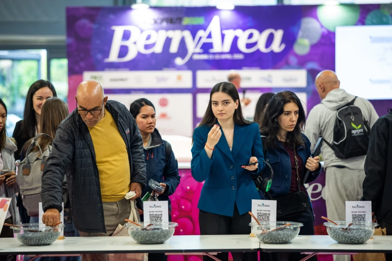 Rivivi i momenti salienti della Berry Area 2026-image