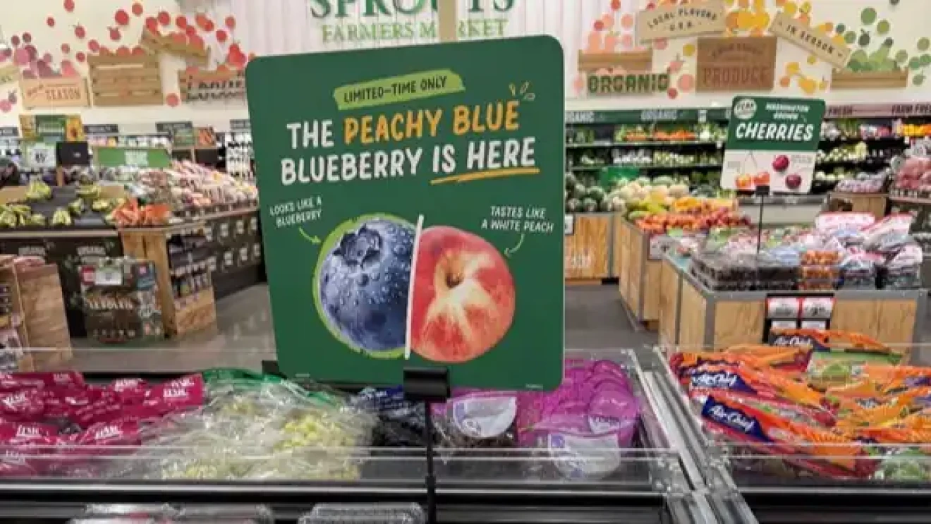 Focusing on premium variety: a success story-image