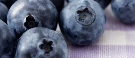 Blueberry boom in China: +35% production, premium quality and Yunnan drives online fruit sales-image