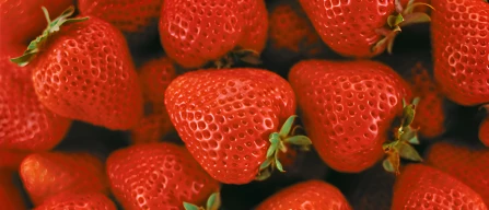 Japanese Amaou strawberries are so good they were banned-image