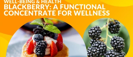 Blackberry: a functional concentrate for wellness with antioxidants and vitamins -image