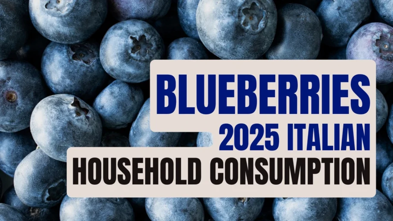 Italy: blueberries per-capita consumption up 28% in 2025-image