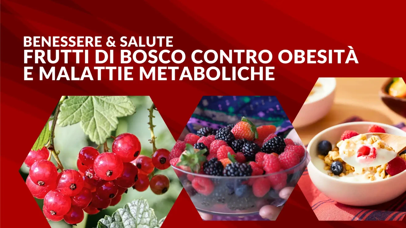 Frutti di bosco contro obesità e malattie metaboliche: benefici scientifici e strategie nutrizionali-image