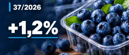 Global blueberry prices rise 1.2%: standard segment leads growth with +1.4% in week 37/2026-image